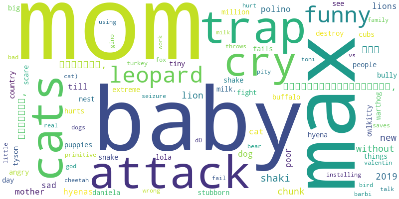 wordcloud-pets-and-animals